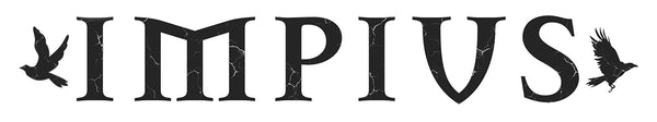 Image showing the Impius Vision main website logo
